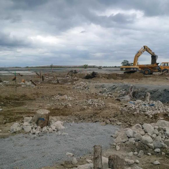 The Leslie Street Spit is becoming a habitat for wildlife