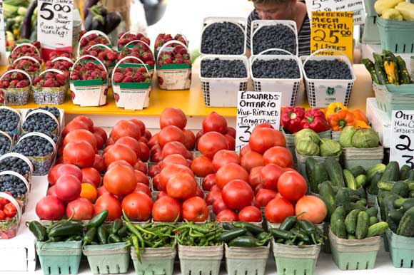 Ontario Government Launches New Local Food Fund