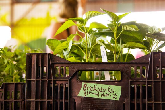 The Evergreen Brickworks Farmers Market.