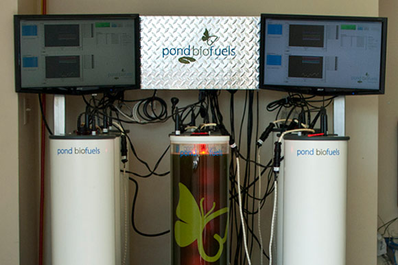 Pond Biofuels Matrix Bioreactor System.