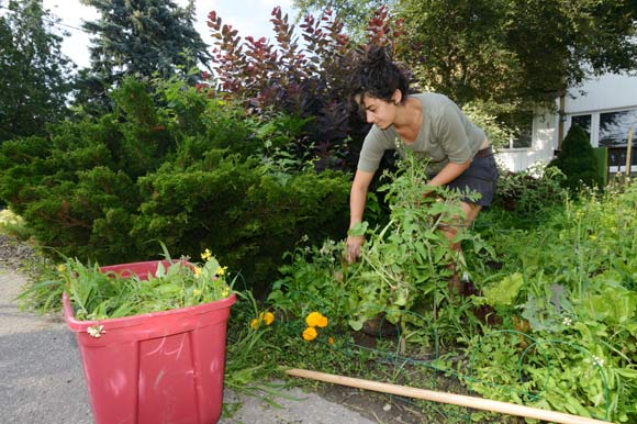 Adrienne Mendocino of Big City Greens working on a front yard field.