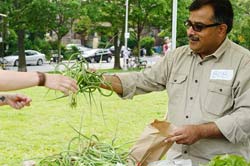 Bob Baloch of The Fresh Veggies at the Sorauren Market.