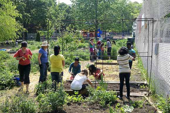 Kids planting gardens in Regent Park.