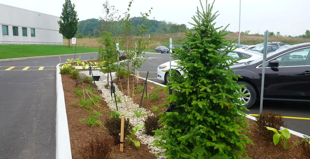 Bioswales help filter road and parking lot runoff at IMAX Headquarters in Mississauga, Ontario.