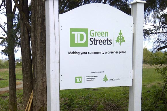 The Danforth BIA was one of 22 projects across Canada to receive TD Green Streets cash for innovation urban forestry projects.