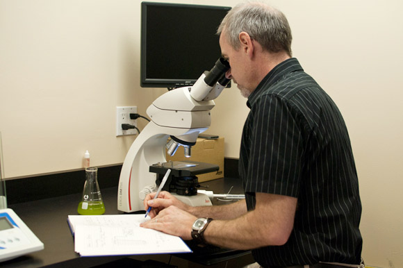 Martin, analyzing a microscopic view of an algal culture.
