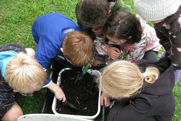 Kids planting gardens in Regent Park.
