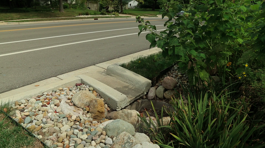 Green infrastructure can take road runoff and slow it down, cleaning and cooling it before it reaches a local waterway.